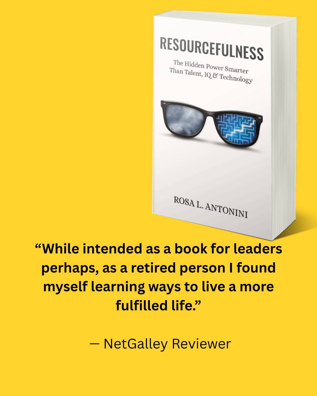 NetGalley Reviewer